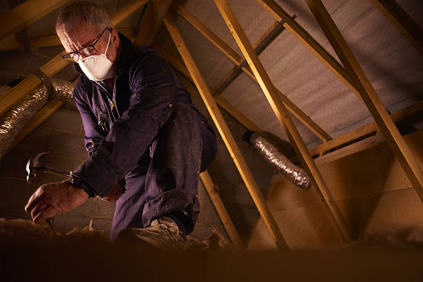 Best Insulation for Specific Applications in Petersburg, IN
